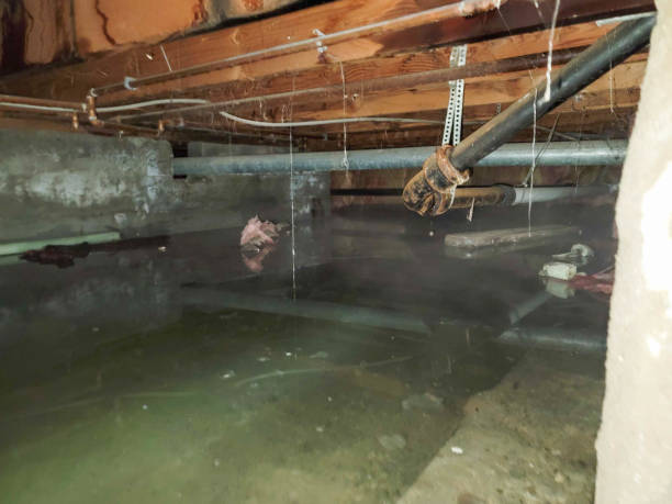 Best 24-hour water damage restoration  in Bryant, AR