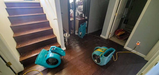 Best Carpet water damage restoration  in Bryant, AR