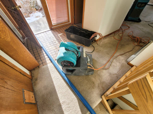 Best Flooded house restoration  in Bryant, AR