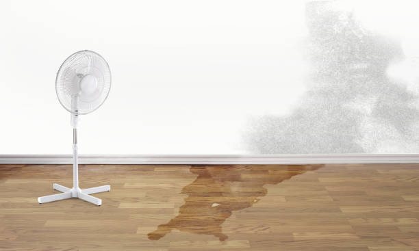 Best Professional water damage repair  in Bryant, AR
