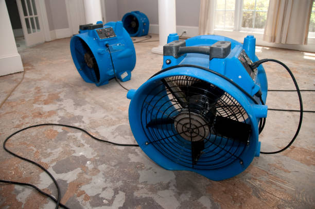 Best 24-hour water damage restoration  in Bryant, AR