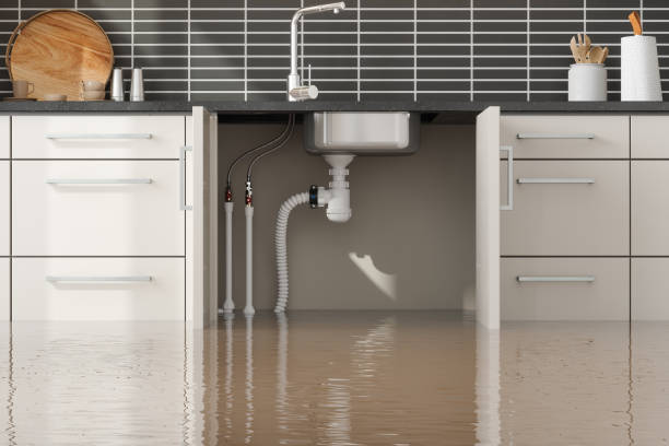 Best Flood restoration services  in Bryant, AR